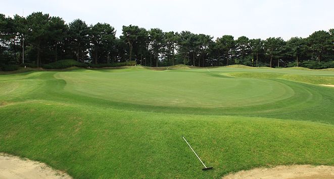 Cherry Hill Course
