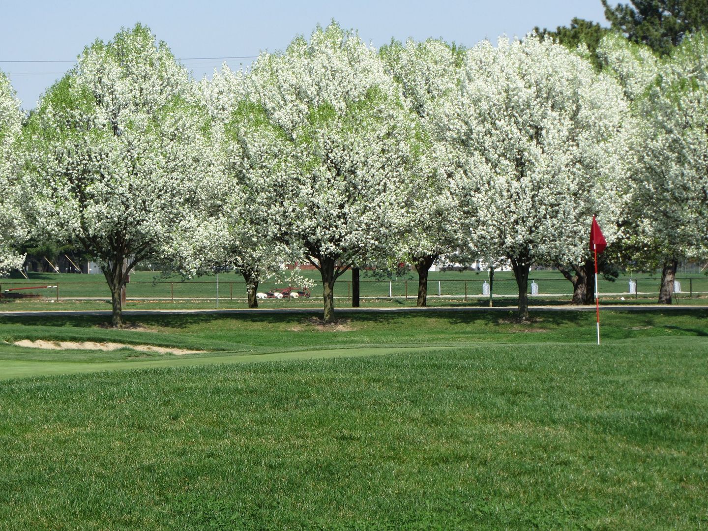 Sahm Golf Course