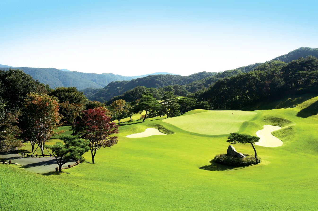 Gold Dragon Course