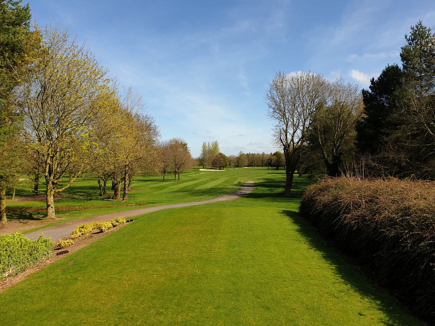 Black Bush Golf Club