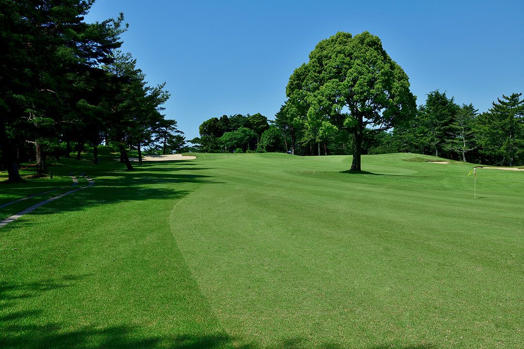 South/East Course