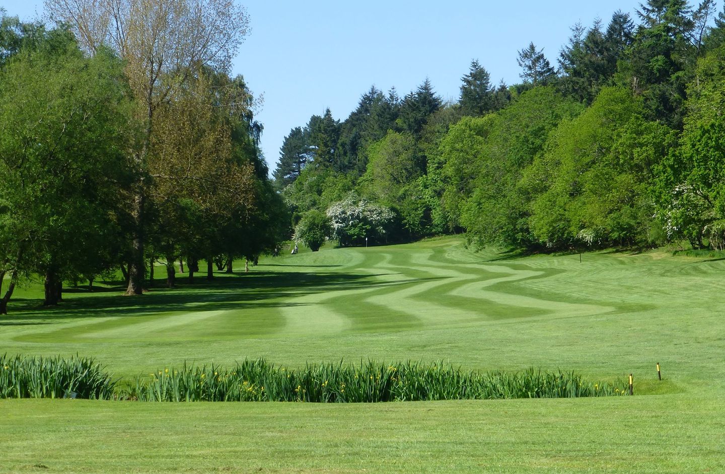 Clevedon Golf Club