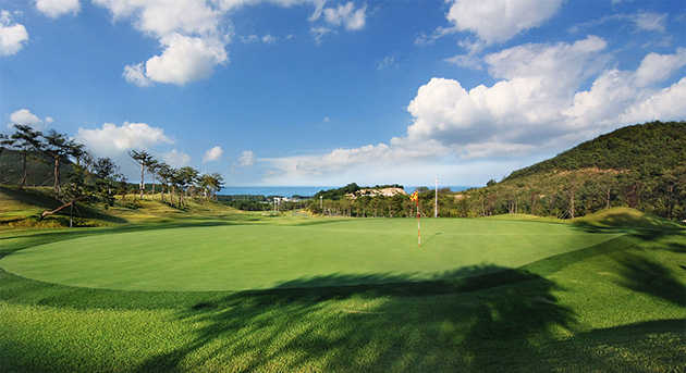 Pine Course