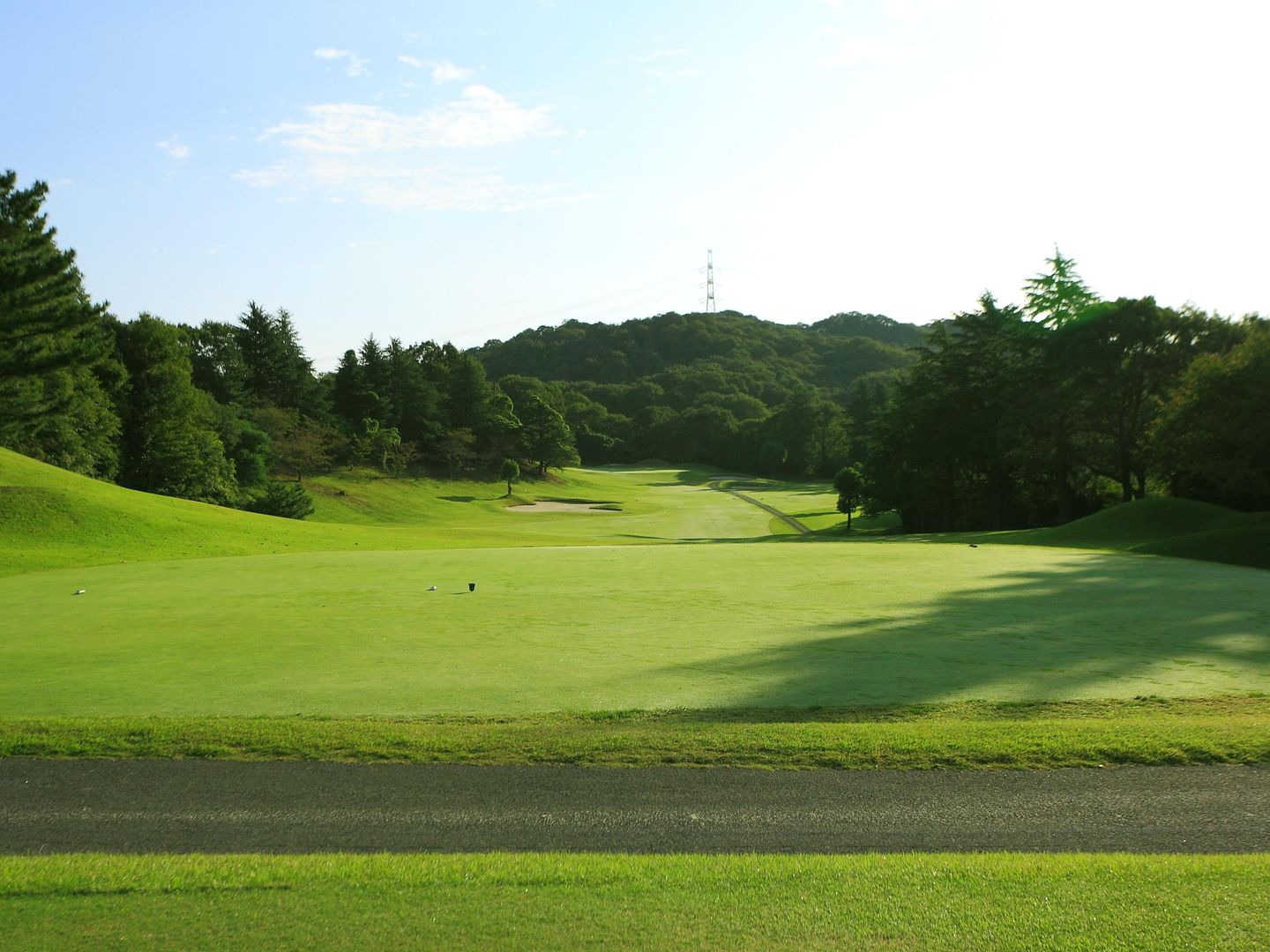 Pine/Bamboo Course