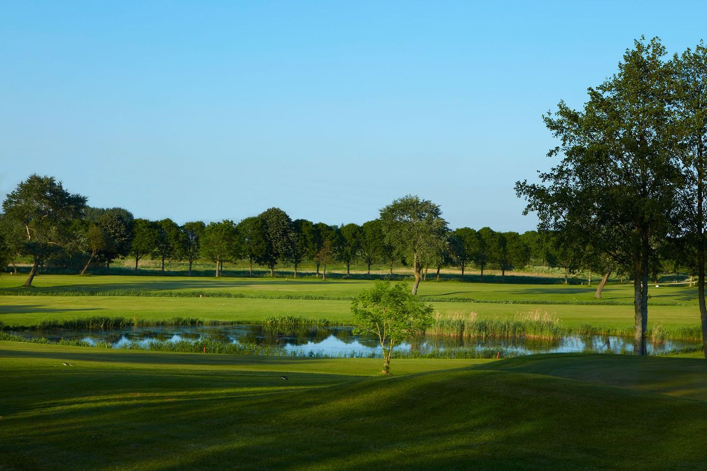 Golf Waterland Amsterdam