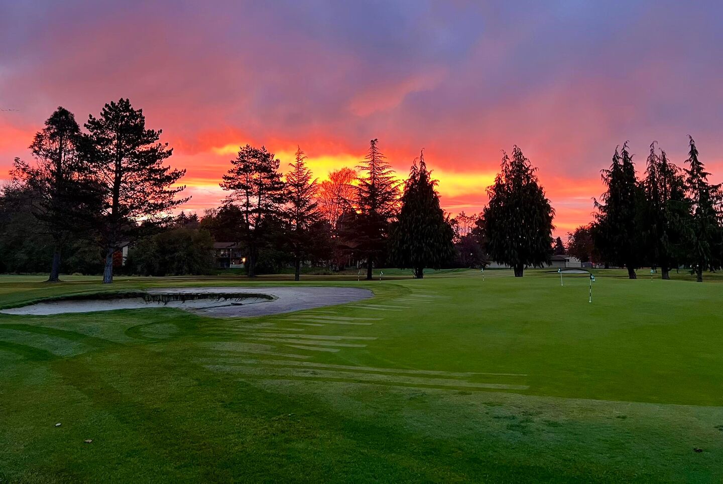 Mint Valley Golf Course