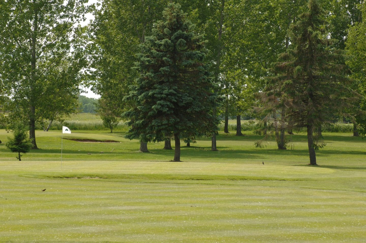 Irish Greens Golf Course