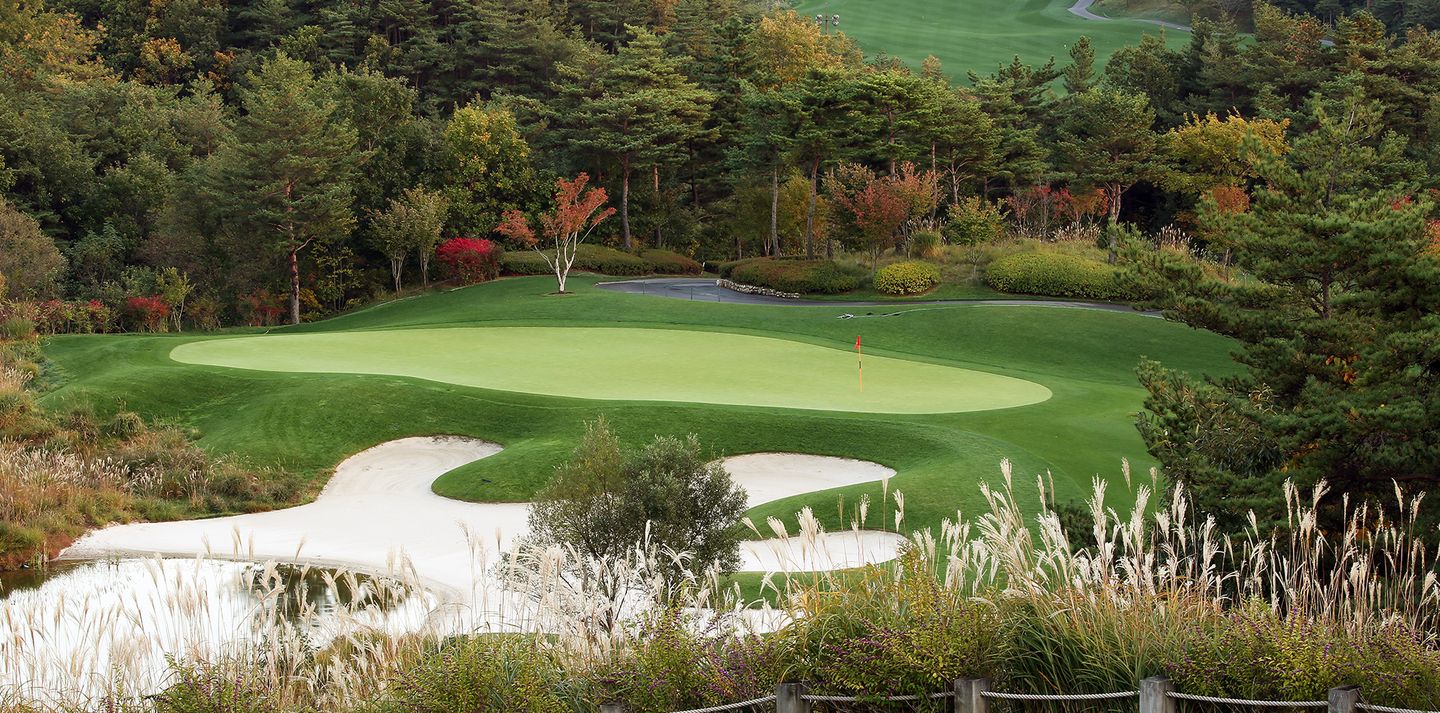 Pine Course