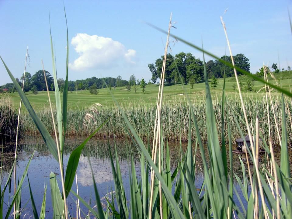 6-hole Course