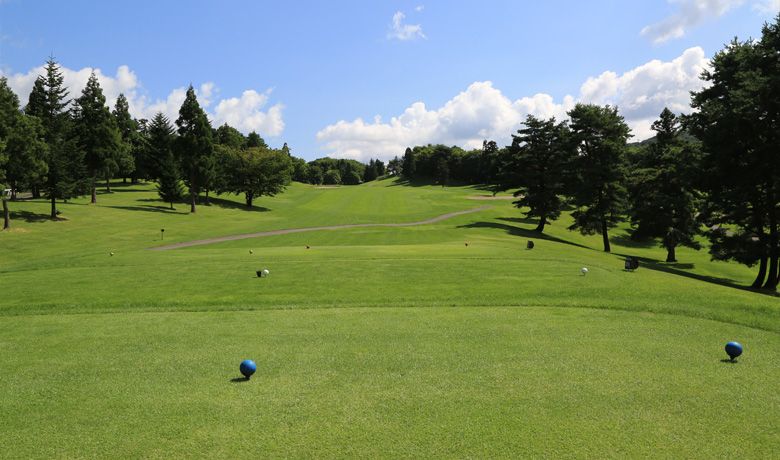 Too Country Club