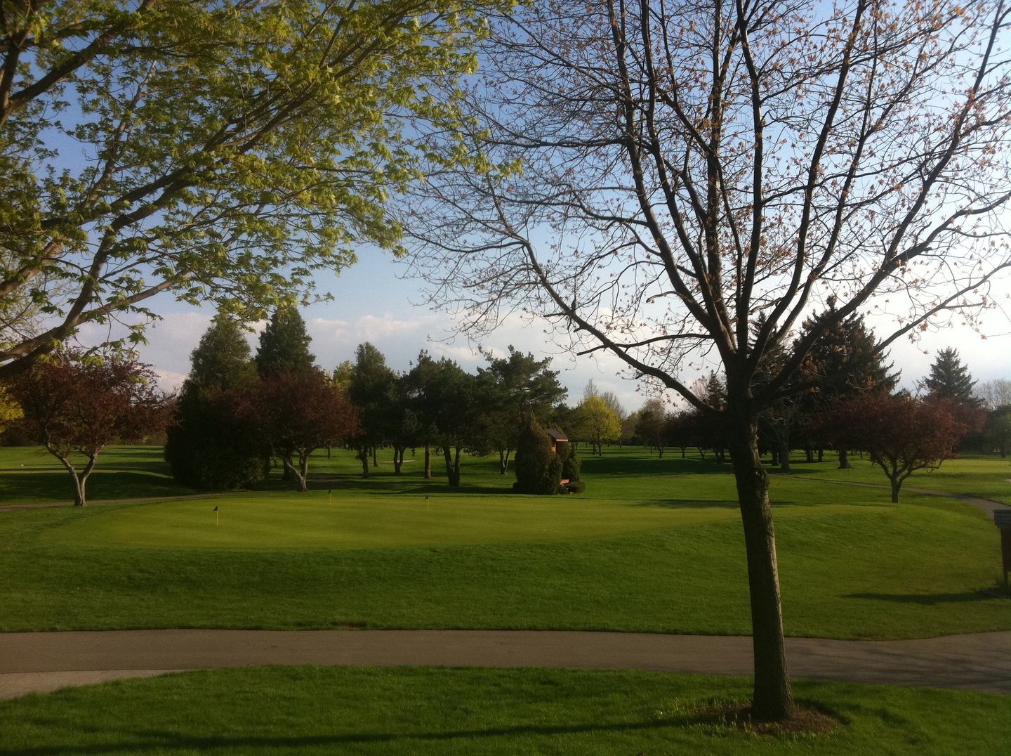 Clifton Springs Country Club