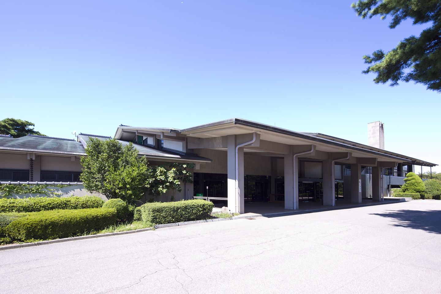 Dainichi Nine