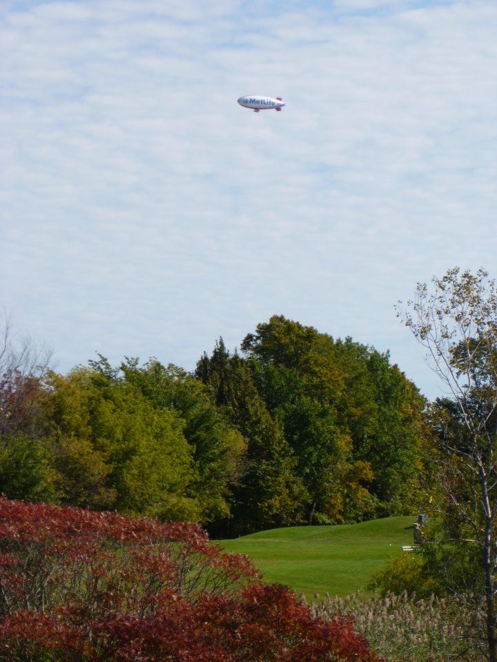Sherwood Forest Country Club