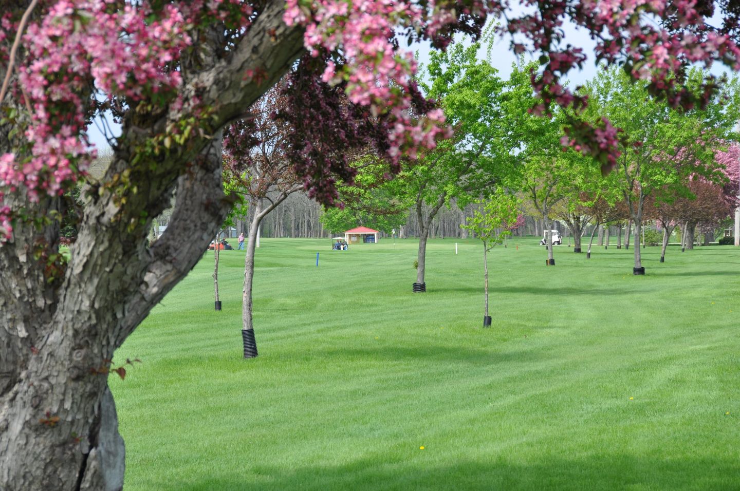 Humboldt Country Club