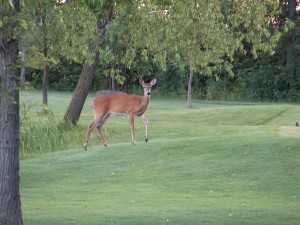 Heritage Woods Golf Course