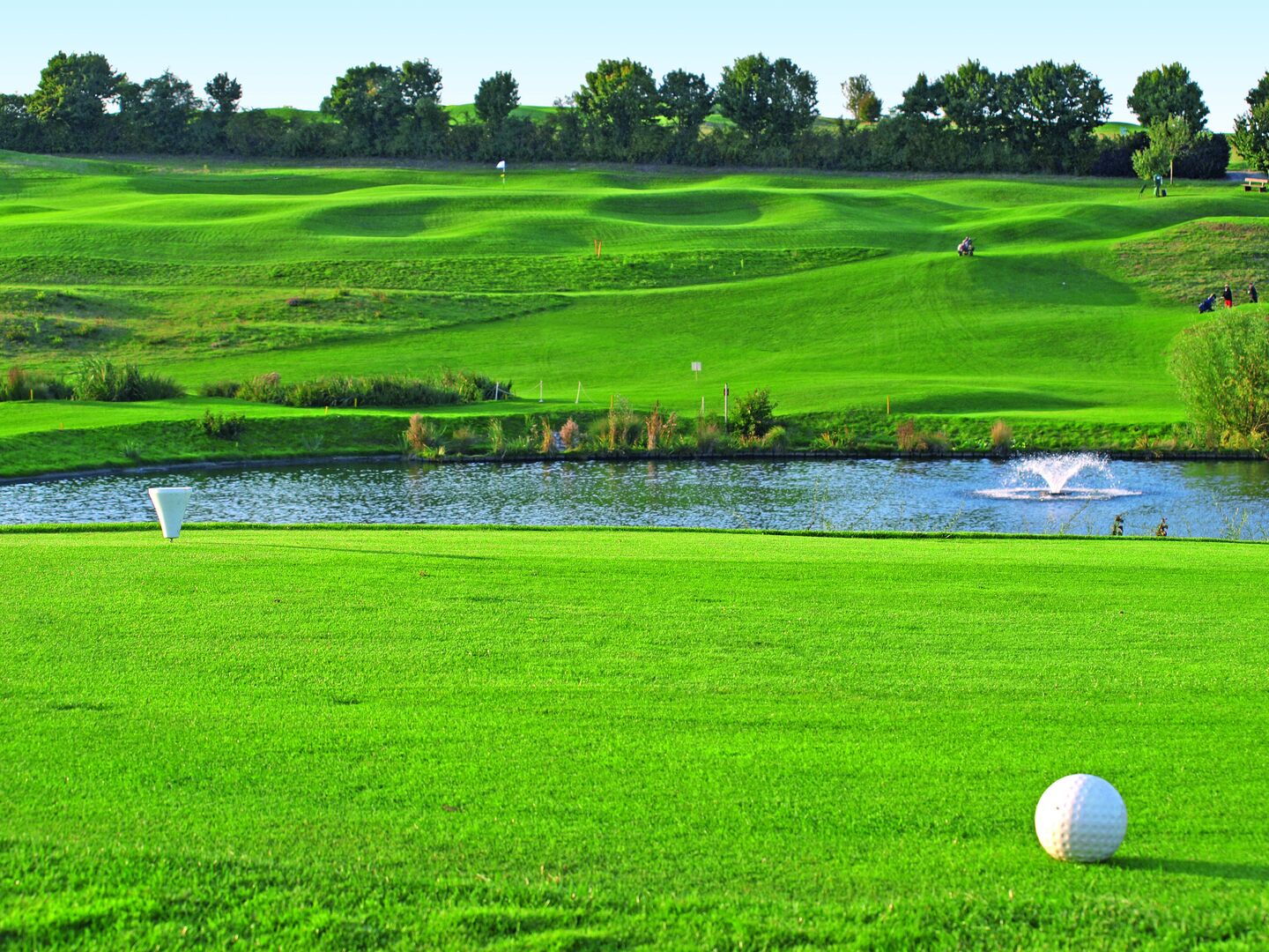 Championship Course