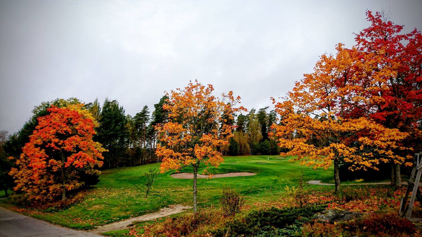 Hill Course